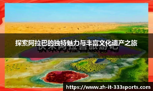333体育官方网站