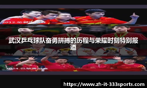 333体育官方网站