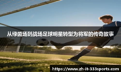 333体育平台注册